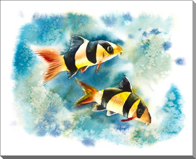 Купить и печать на заказ Картины на пластике, пеноркартоне Морская жизнь акварель