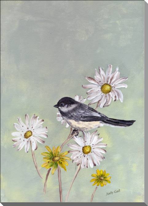 Купить и печать на заказ Картины на пластике, пеноркартоне Чикади на ромашках (Джуди Гейл)