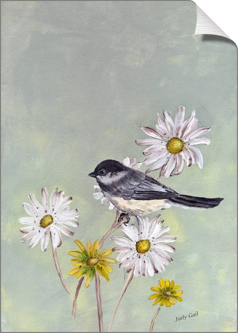 Paintings on canvas Chickadee on Daisy (Judy Gail)