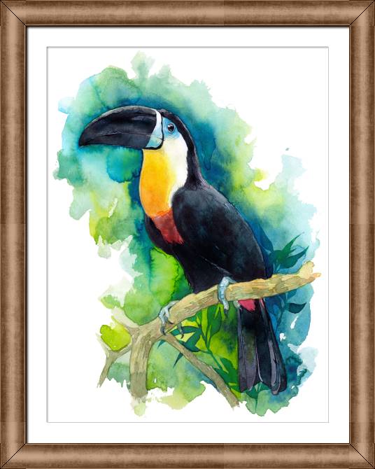Купить и печать на заказ Картины в рамке, багете Тукан акварель