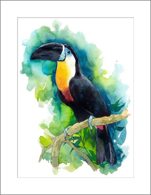 Купить и печать на заказ Картины, фото с паспарту Тукан акварель