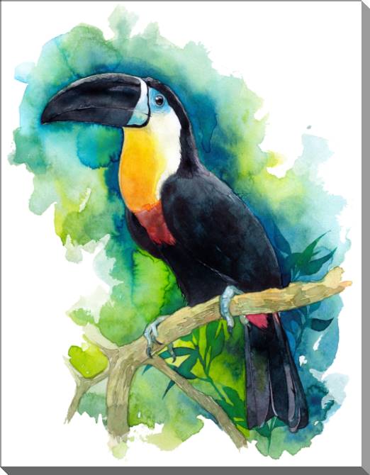 Купить и печать на заказ Картины на пластике, пеноркартоне Тукан акварель