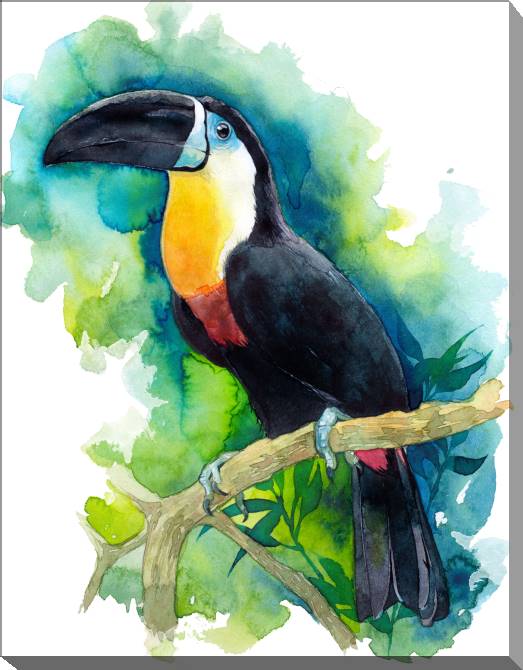Paintings on canvas Toucan watercolor