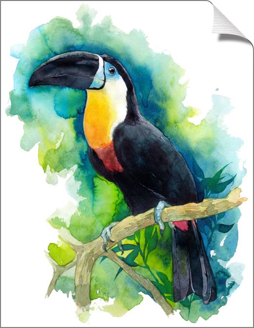 Купить и печать на заказ Картины на холсте Тукан акварель