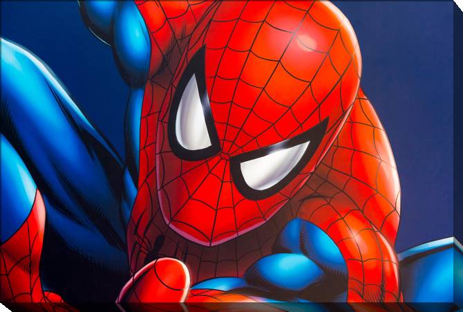 Paintings on canvas Spider-man illustration
