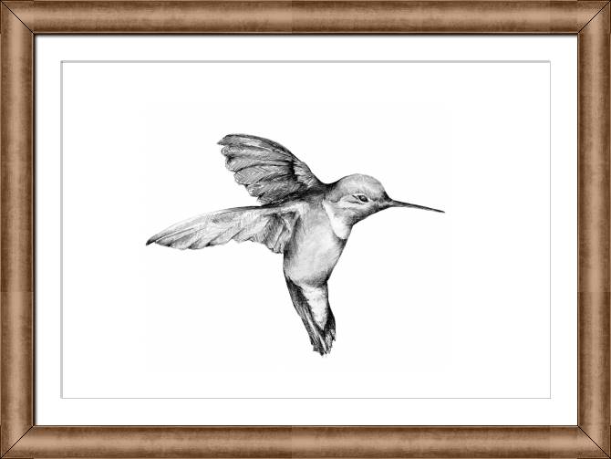 Купить и печать на заказ Картины в рамке, багете Колибри графика