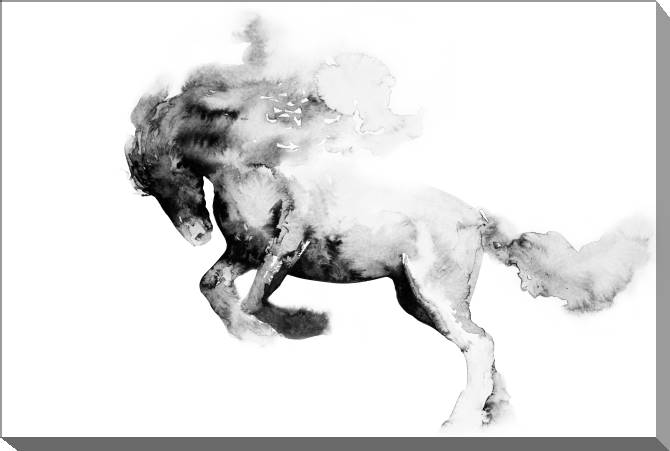 Paintings on canvas Horse Oriental ink painting