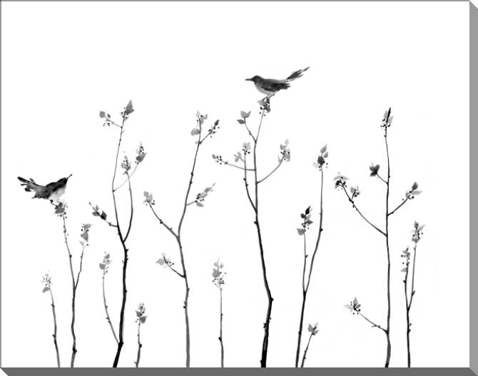 Картины на пластике, пеноркартоне Birds on the branches of Eastern painting