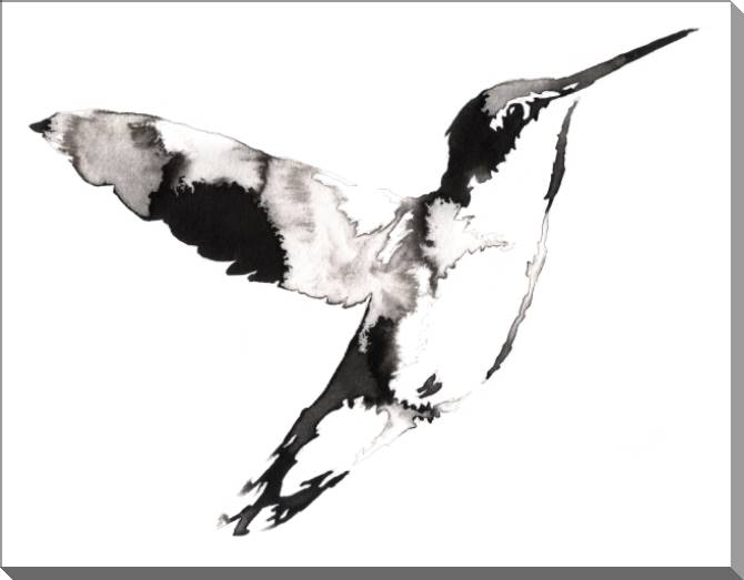 Картины на пластике, пеноркартоне Hummingbirds of Eastern ink painting