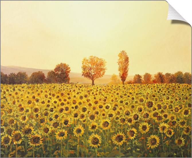 Paintings on canvas Sunset and a field of sunflowers