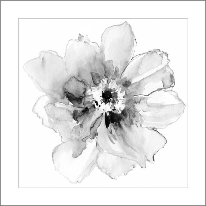 Купить и печать на заказ Картины, фото с паспарту Нежный пион