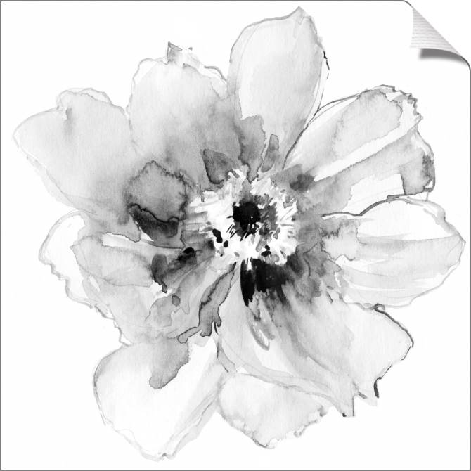 Paintings on canvas Delicate peony