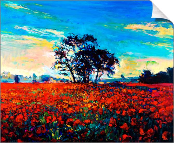 Paintings on canvas Bright field of poppies