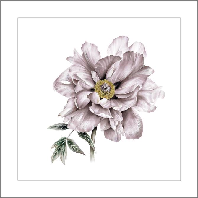 Купить и печать на заказ Картины, фото с паспарту Нежный пион в пастельных тонах