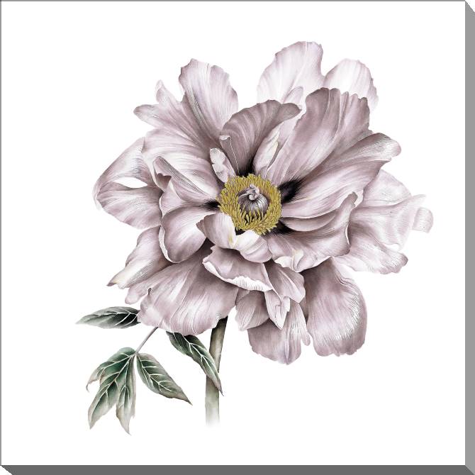 Paintings on canvas Delicate flowers in pastel colours