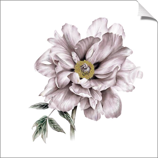 Paintings on canvas Delicate flowers in pastel colours