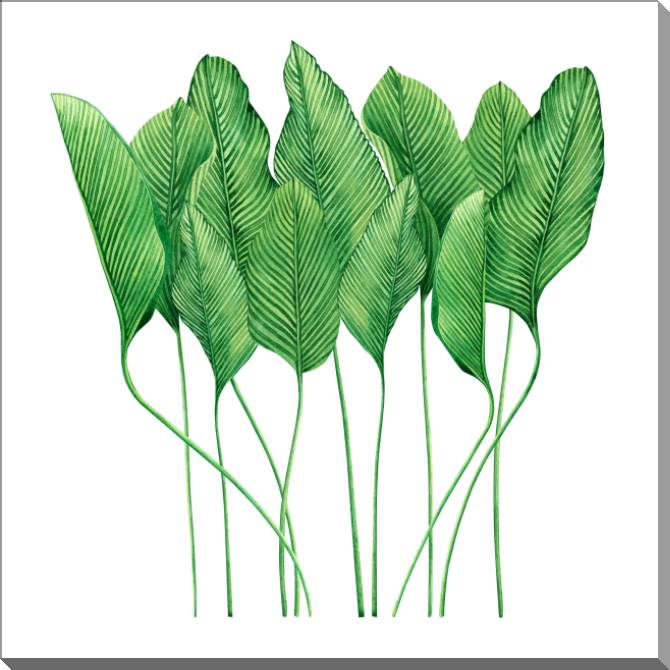 Paintings on plastic, foam cardboard Tropical leaves watercolor