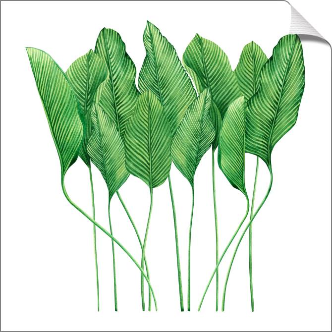 Картины на холсте Tropical leaves watercolor