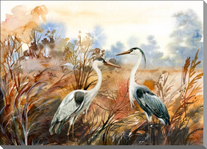 Картины на пластике, пеноркартоне A pair of herons watercolor
