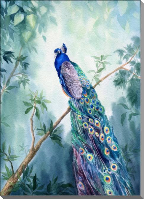 Картины на пластике, пеноркартоне Picturesque peacock watercolor