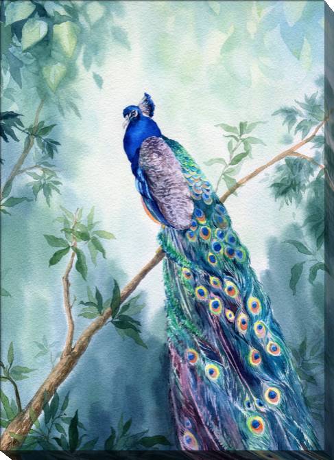 Paintings on canvas Picturesque peacock watercolor