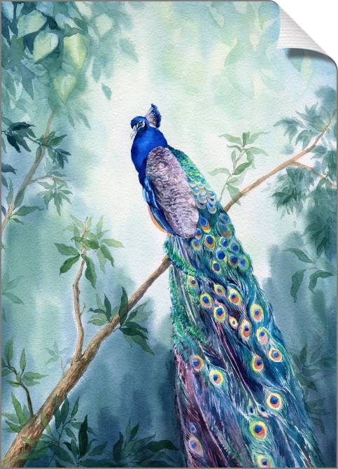 Купить и печать на заказ Картины на холсте Живописный павлин акварель
