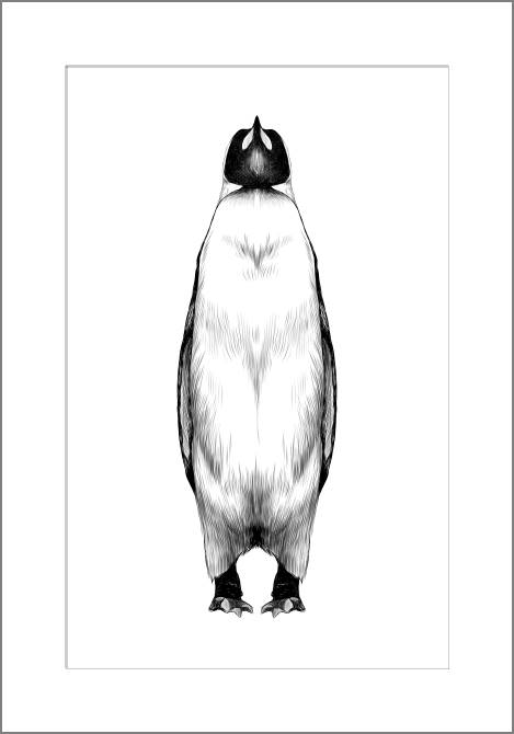 Купить и печать на заказ Картины Арт пингвин графика