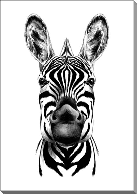 Картины на пластике, пеноркартоне Art Zebra graphics