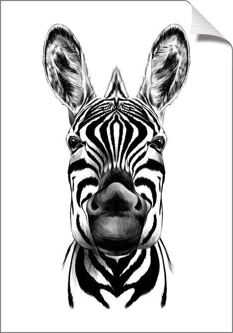 Купить и печать на заказ Картины на холсте Арт зебра графика