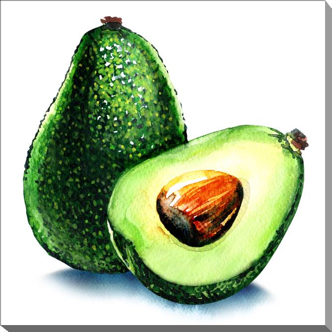 Paintings on canvas Avocado