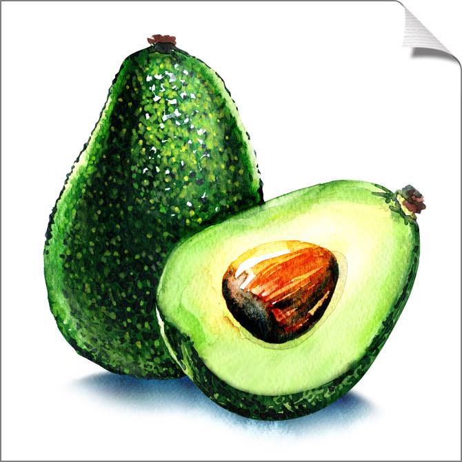 Купить и печать на заказ Картины на холсте Авокадо