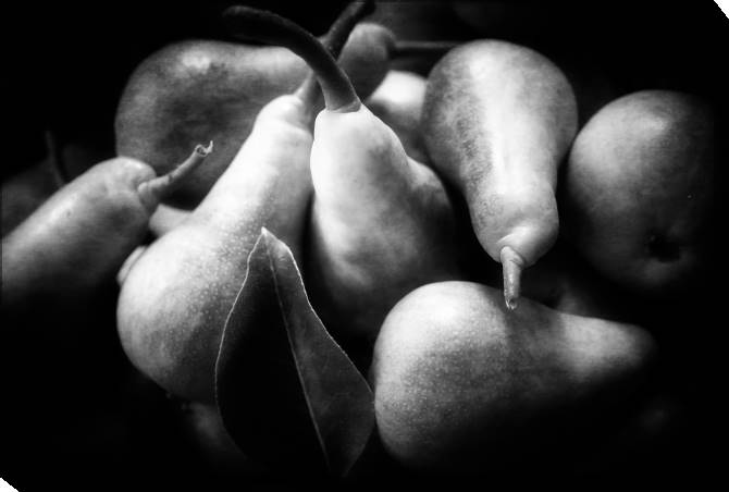 Paintings on canvas Pears on a black background
