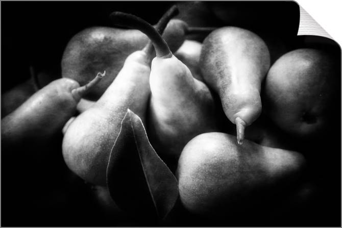 Купить и печать на заказ Картины на холсте Груши на черном фоне