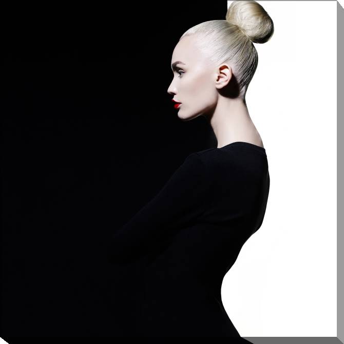 Paintings on canvas Stylish photo girl black and white background