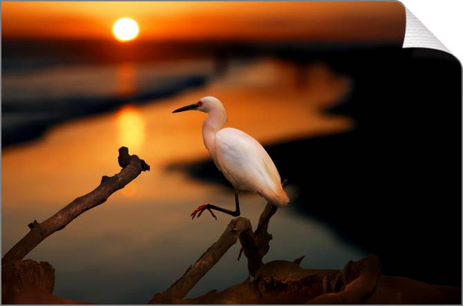 Купить и печать на заказ Картины на холсте Цапля на закате