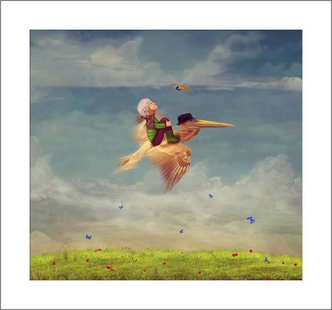 Купить и печать на заказ Картины, фото с паспарту Мальчик и пеликан