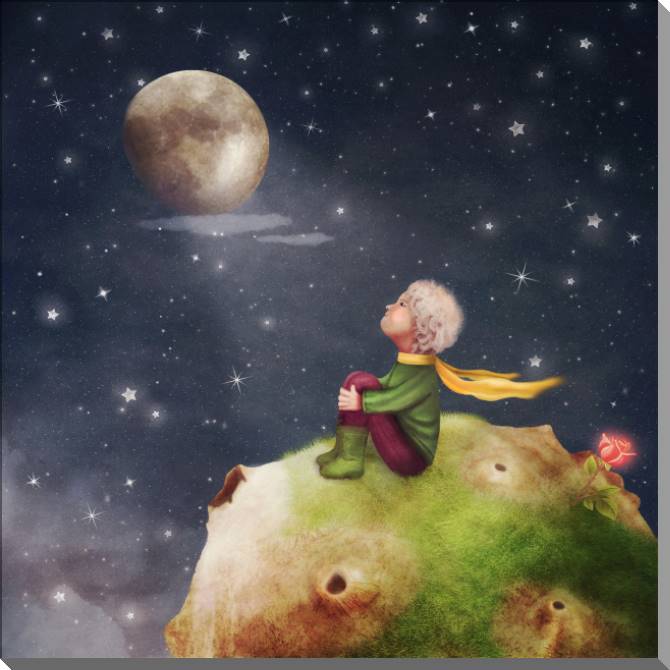 Картины на пластике, пеноркартоне The little Prince and the rose