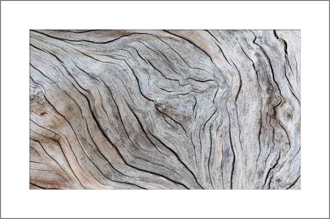 Paintings, photos from Passepartout Texture of old wood