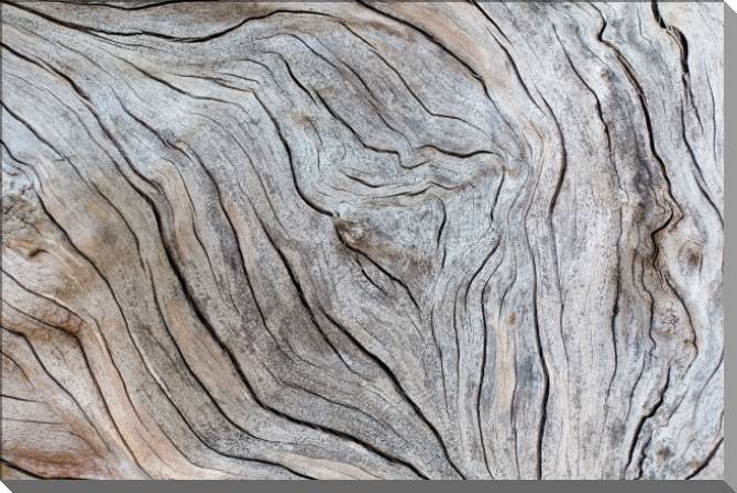 Картины на пластике, пеноркартоне Texture of old wood