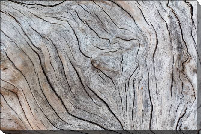 Paintings on canvas Texture of old wood