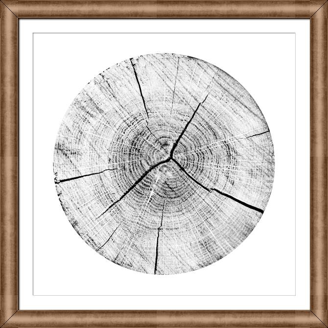 Купить и печать на заказ Картины в рамке, багете Сруб дерева