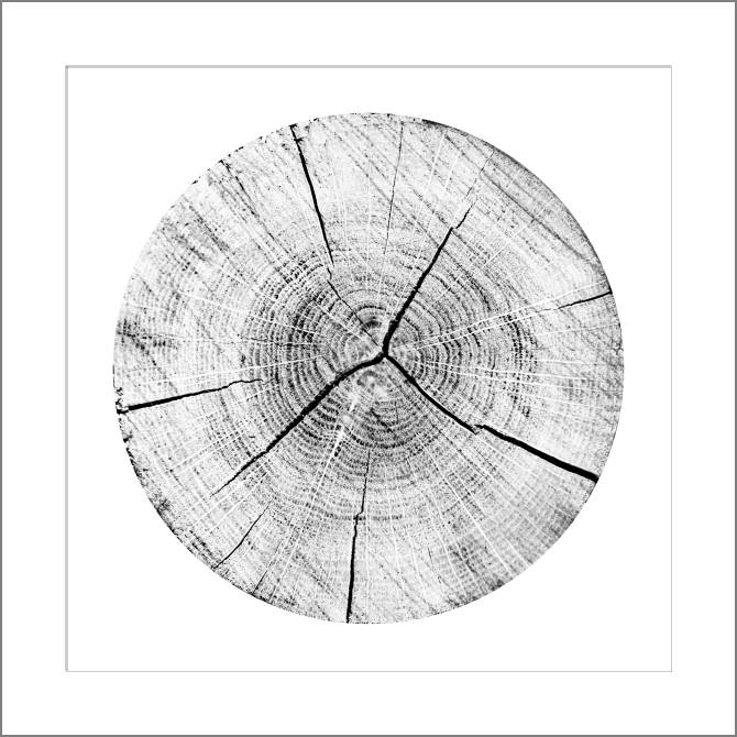 Paintings, photos from Passepartout The frame is wood