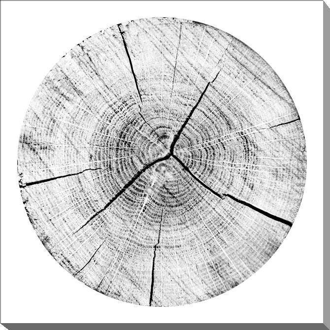 Paintings on canvas The frame is wood