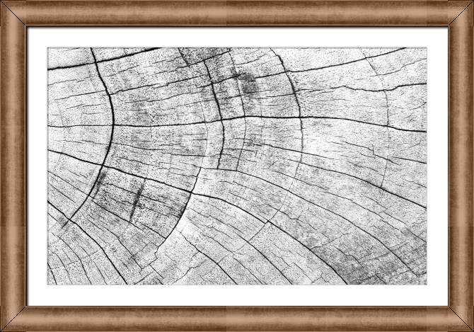 Купить и печать на заказ Картины в рамке, багете Текстура дерева серая