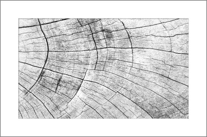 Paintings, photos from Passepartout Wood texture grey