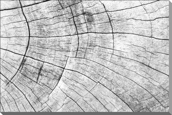 Картины на пластике, пеноркартоне Wood texture grey