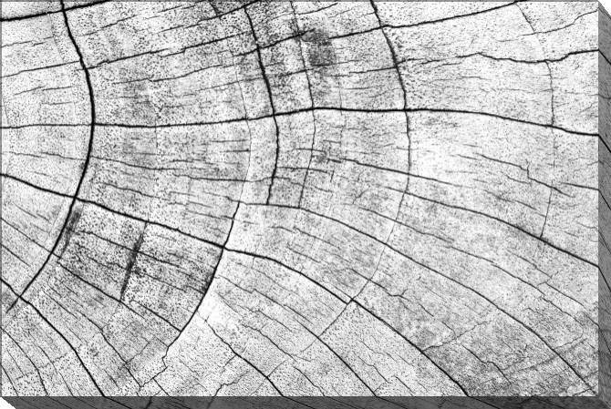 Paintings on canvas Wood texture grey