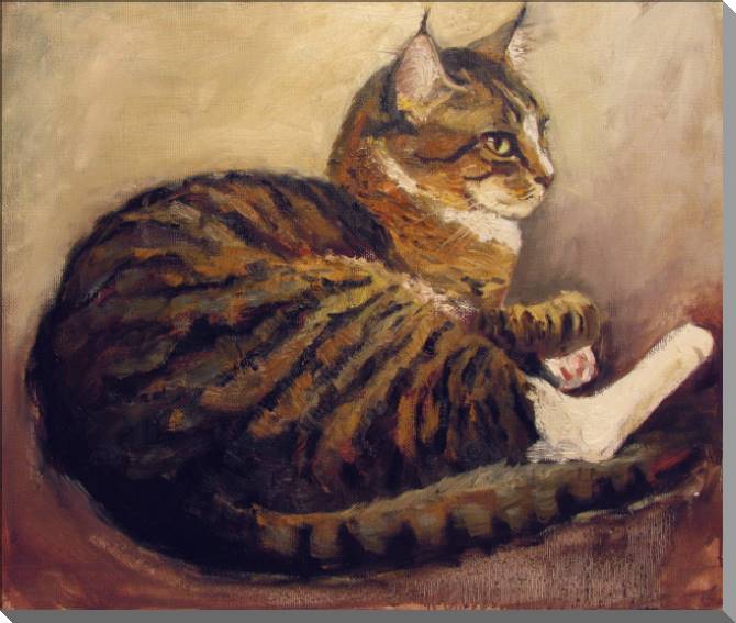 Картины на пластике, пеноркартоне Tabby cat