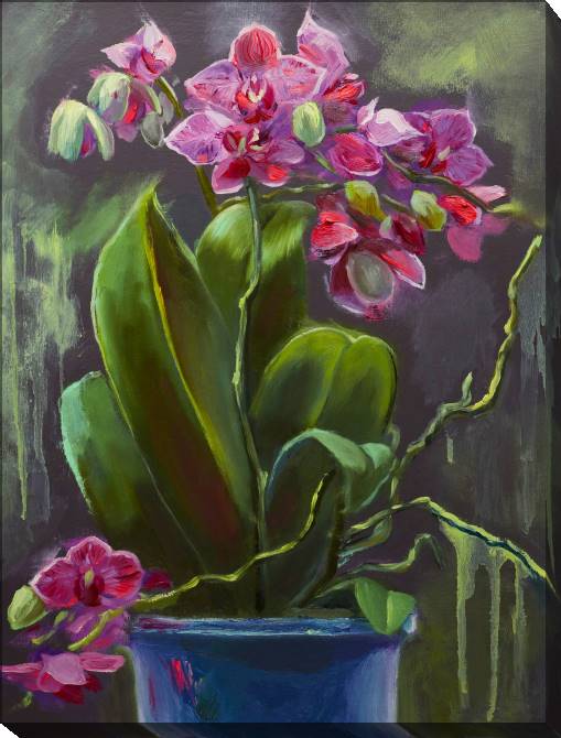 Paintings on canvas Pink Orchid