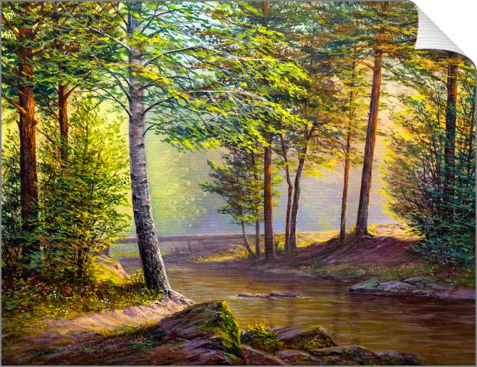 Картины на холсте Sunny forest